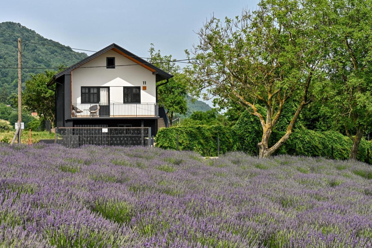 Vacation Home - Nest Kalnik Exterior photo