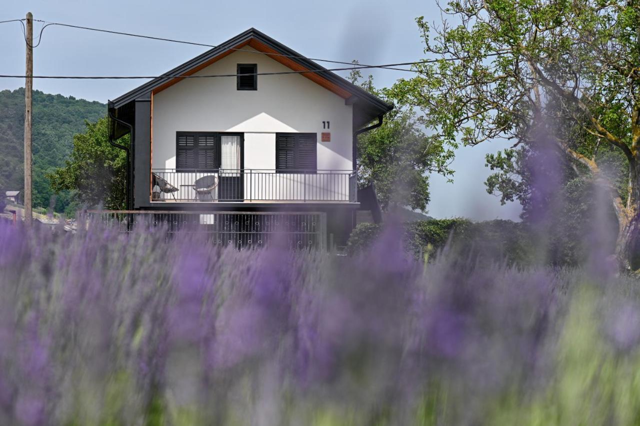 Vacation Home - Nest Kalnik Exterior photo