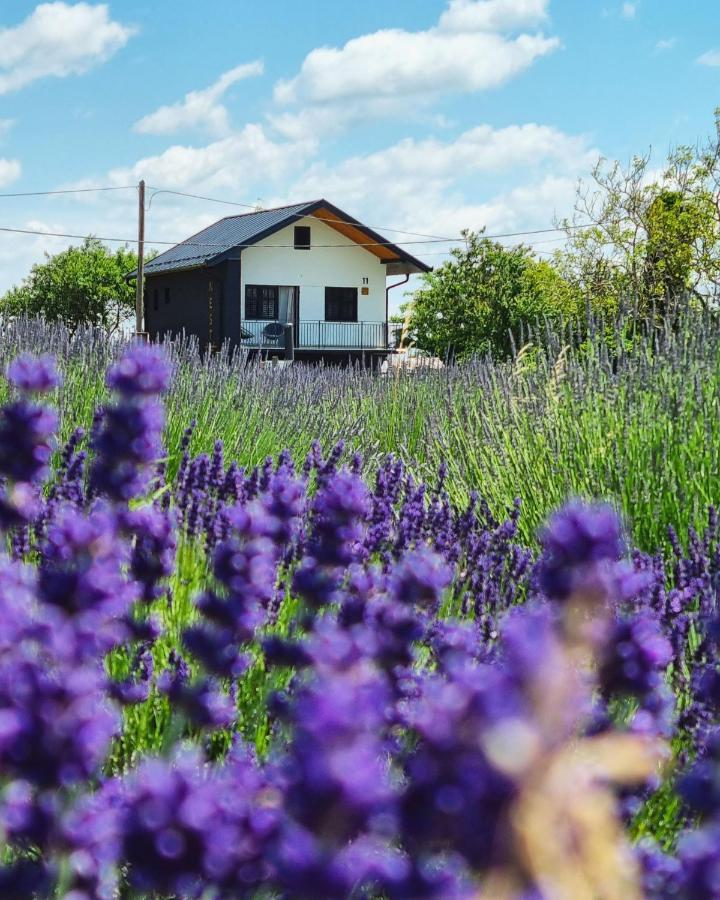 Vacation Home - Nest Kalnik Exterior photo