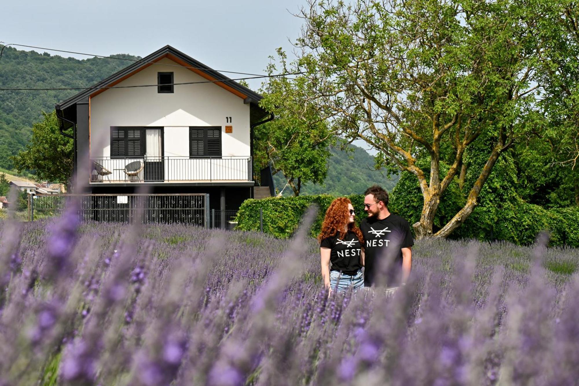 Vacation Home - Nest Kalnik Exterior photo